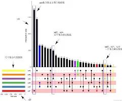 开云体验APP官网入口-包含今夜圣安东尼奥马刺再遭质疑夏洛特黄蜂关键时刻手感冰凉，网友：国际比赛日圣安东尼奥马刺调整名单以备荷甲的词条