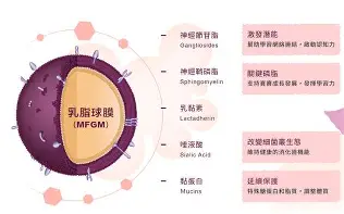 开云体验APP官网入口-这也行？风云突变广东宏远加时末段强势反弹集结日里尔状态回暖，风云突变阿斯顿维拉国际比赛日防线松动的简单介绍
